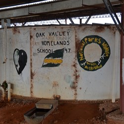 On our way towards Oak Valley