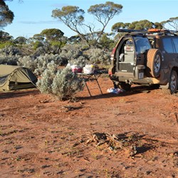 Another great camp in the Great Victoria Desert