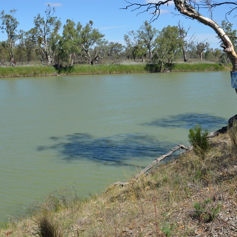 Typical colour of our inland water ways