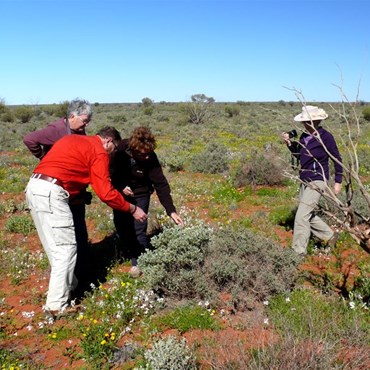 Using the Rule of Thirds