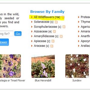 Searching for Families