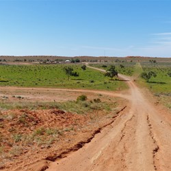 Old Andado surrounded by green