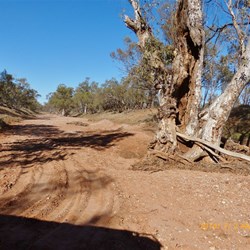 Oh to be here in the wet!