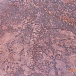 One of the many Petroglyphs in the gorge