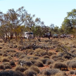Cattle trucks in to collect the cattle