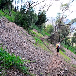 walking on Split Rock Belougery circuit walk