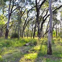 walking at Lake Murphy