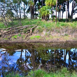 water in the nearby creek
