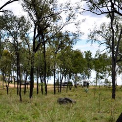 Camping at Wuruma dam