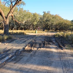 muddy patches on the track to our campsite - deeper and more slippery than they looked. Van felt like a thrashing croc tail as we slid through this