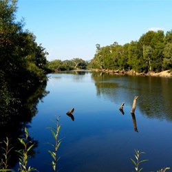 Murrumbidgee river at Jugiong