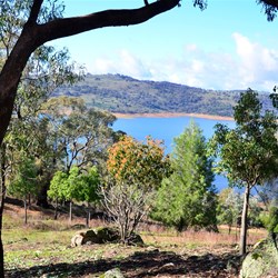 views of Wyangala from a walk