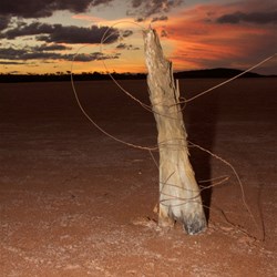 Fence post in a lake