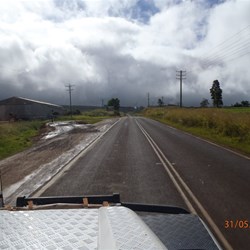 Wind farm in the fog