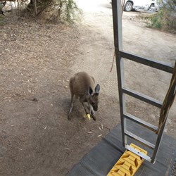 The enemy trying to get me, but as expected failing.