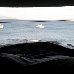 Hopefully here comes dinner.