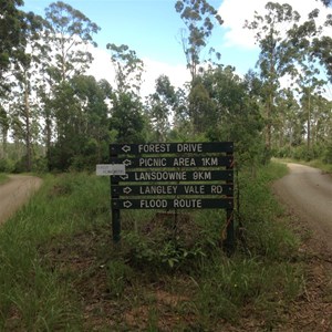 Coopernook State Forest, NSW