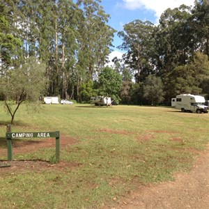 Coopernook State Forest, NSW