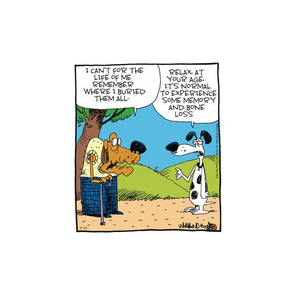Memory and bone loss
