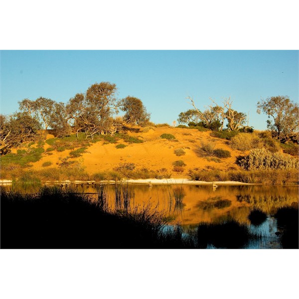 Wetlands as the sun goes down