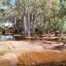 Entrance to Skull Springs