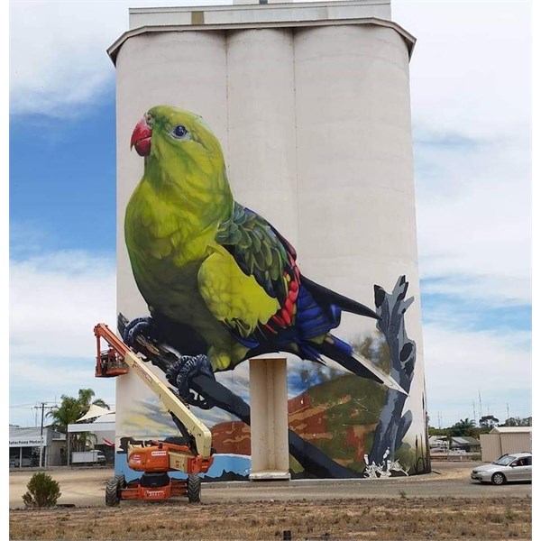 Waikerie silo art