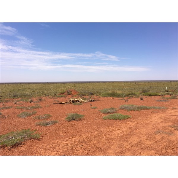 Designated Permit Campsite #1 - Kidson Track