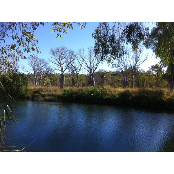 Limestone Creek Billabong