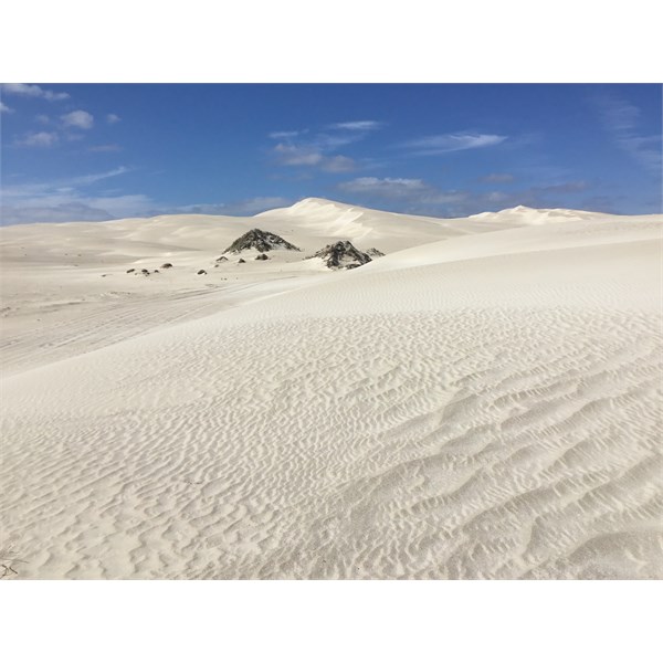 Sculpted sand dunes