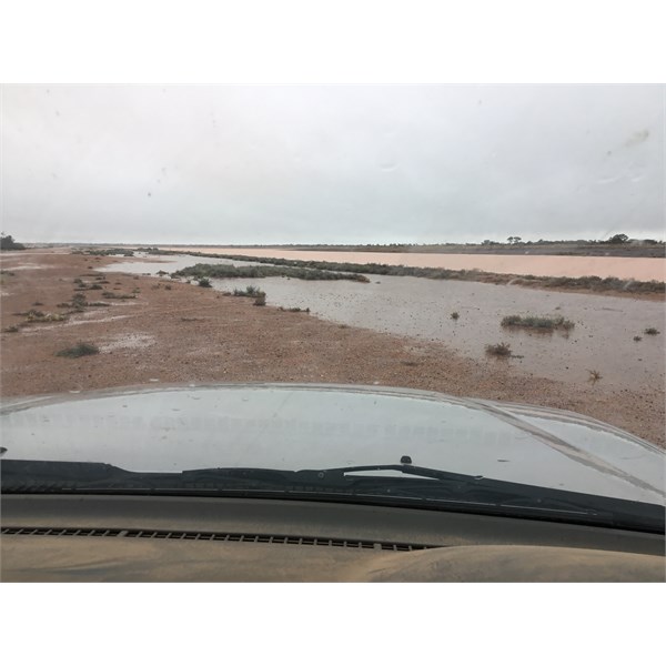 Emu. The airstrip is under water on the right side of the photo