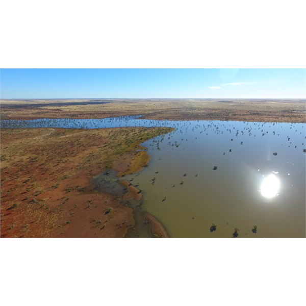 Lake Cohen on the Gary Hwy