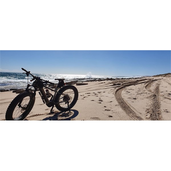 Fat bike on beach 