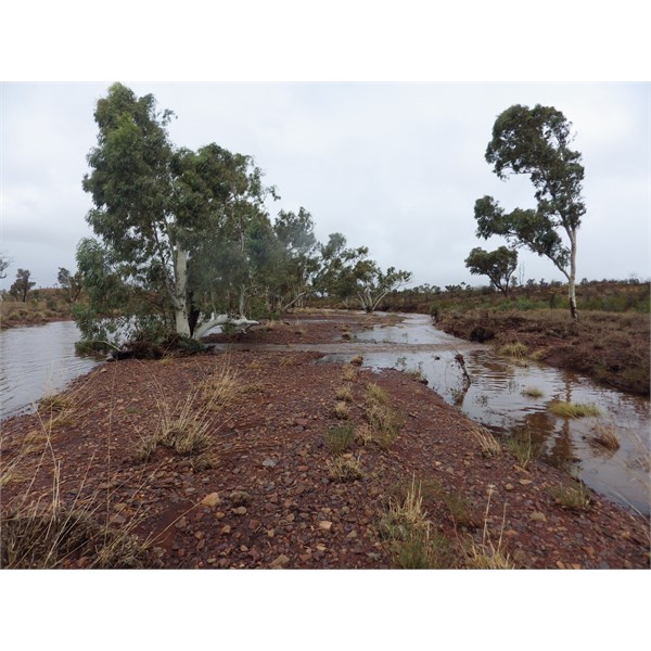 Homestead Creek via Newman WA