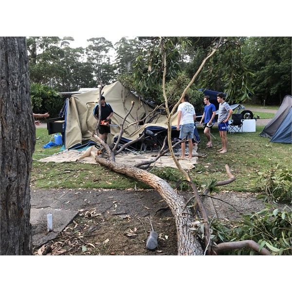 Tree limb vs camper 2