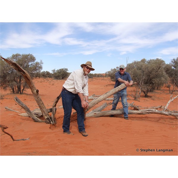 Using a hand saw took ages to cut through Gidgee