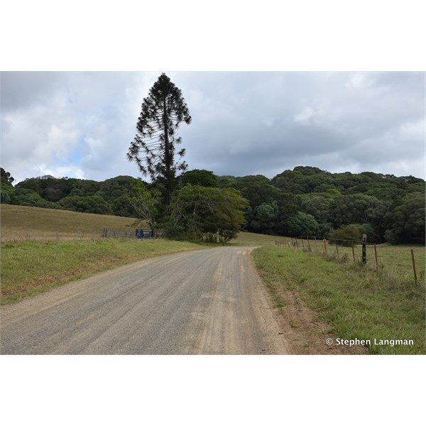 Back into farming land along Black Mountain Road