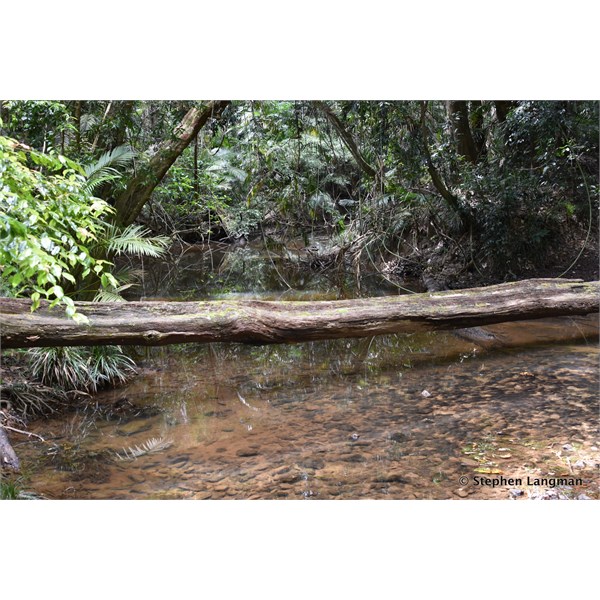 Another creek crossing