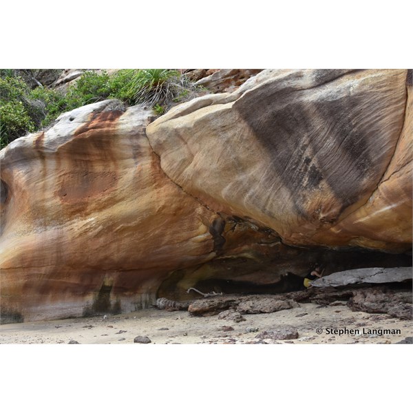 The rock art is under this sandstone rock ledge