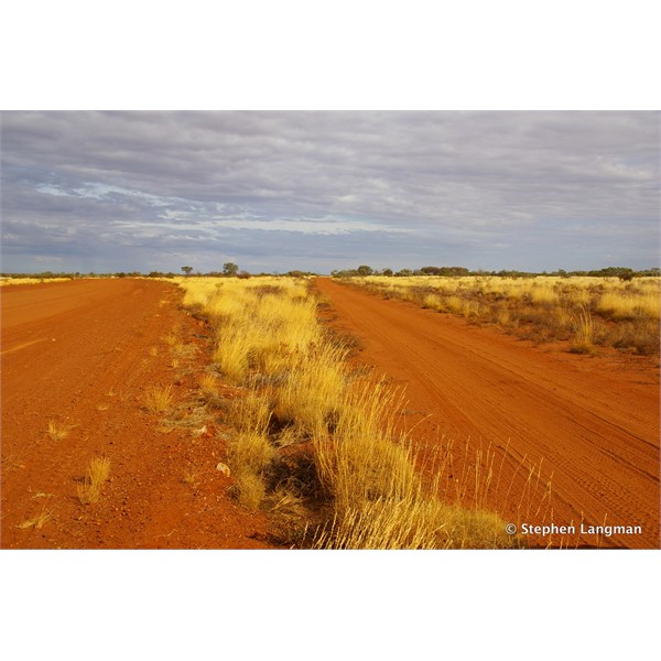 Small track on the side of the Great Central Road is the original Gunbarrel Highway