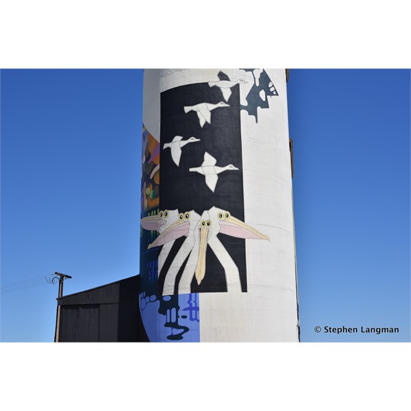 Waikerie Silo Art