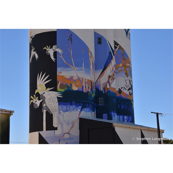 Waikerie Silo Art 