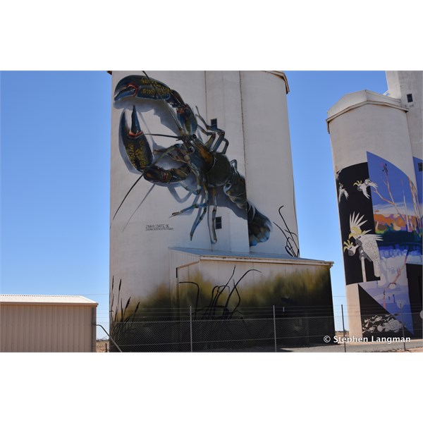 Waikerie Silo Art 