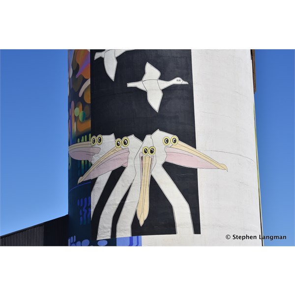 Waikerie Silo Art