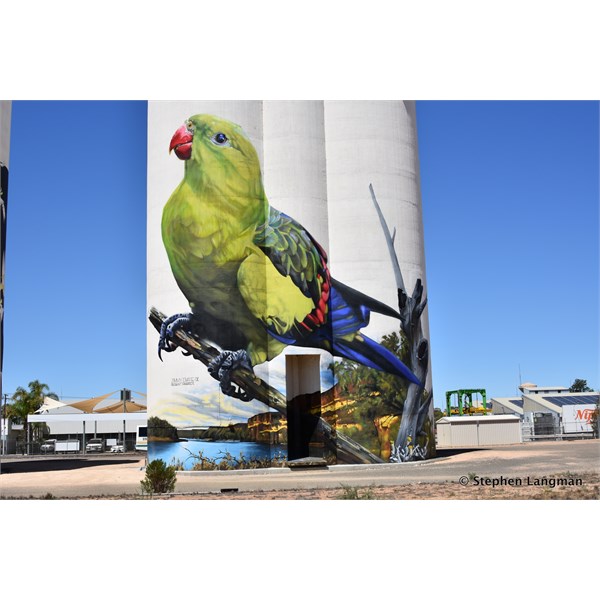 Waikerie Silo Art 