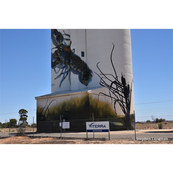 Waikerie Silo Art 