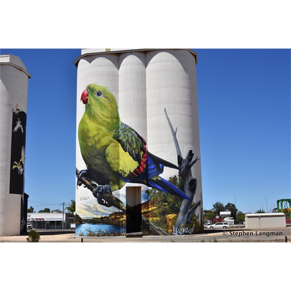 Waikerie Silo Art 