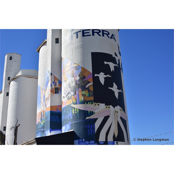 Waikerie Silo Art