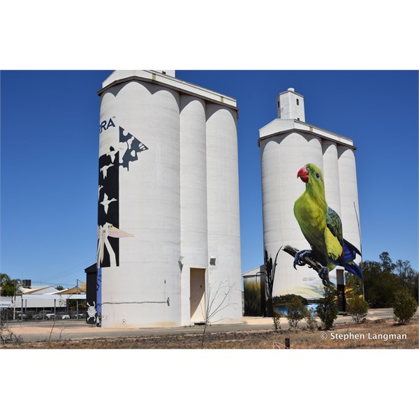 Waikerie Silo Art 