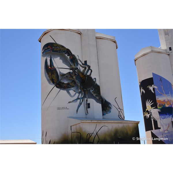 Waikerie Silo Art 