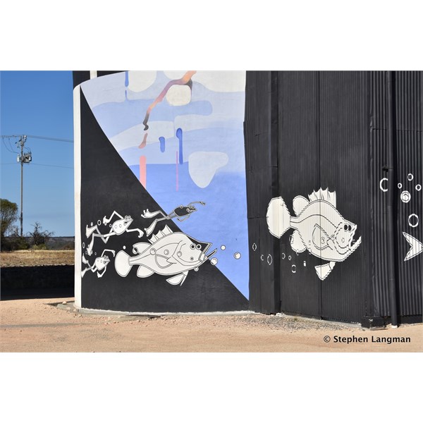 Waikerie Silo Art 